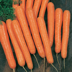 Морковь Рогнеда (500 гр)