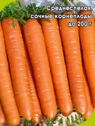 Морковь Аурантина F1 (0,6 гр)