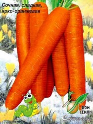 Морковь Зачья Радость 