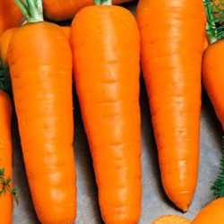 Морковь Курода Шантенэ (50 гр)