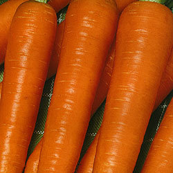 Морковь Витаминная 6 (500гр)