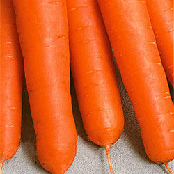 Морковь НИИОХ 336 (200гр)