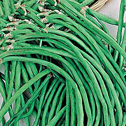 Фасоль овощная Лиана (500 гр)