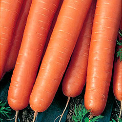 Морковь Тушон (200гр)