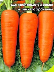 Морковь Абледо F1 (0,6 г)