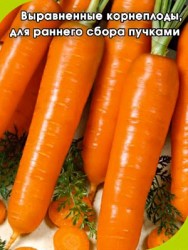 Морковь Лагуна F1 (0.6 г)