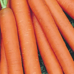 Морковь Без сердцевины (200 гр)
