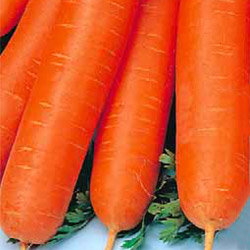 Морковь Бейби F1 (200гр)