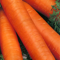 Морковь Император (200гр)