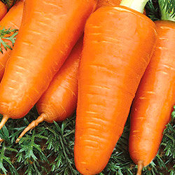 Морковь Курода Шантанэ (200гр)